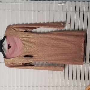 Rose Gold Shimmery Dress XS-S